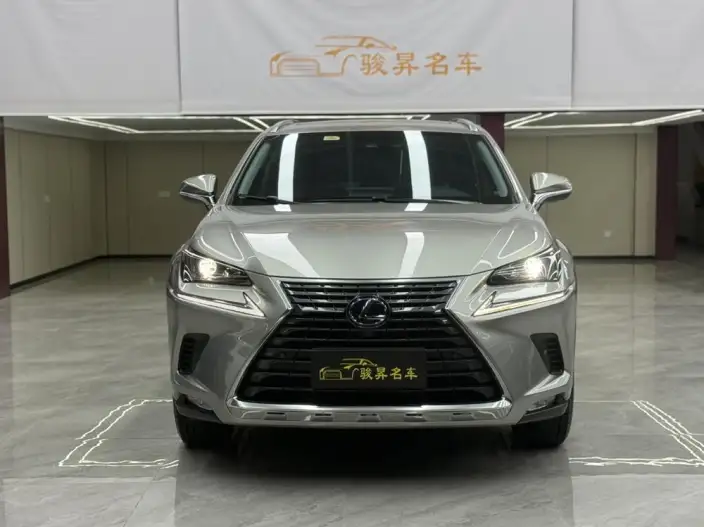 Lexus NX 2020 Model 300h Qian Drive Fengshang Edition China VI – фото 2