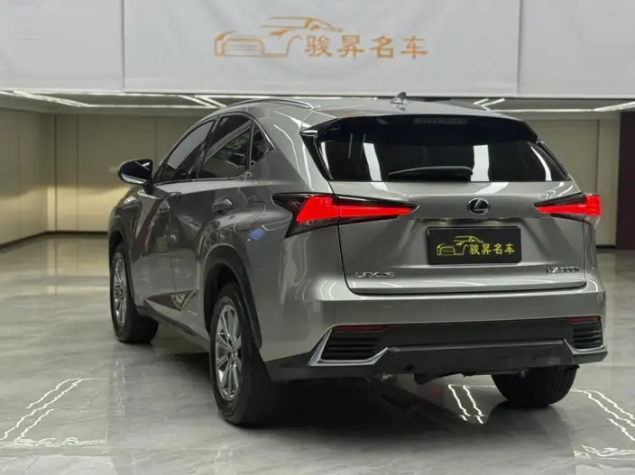 Lexus NX 2020 Model 300h Qian Drive Fengshang Edition China VI – фото 5