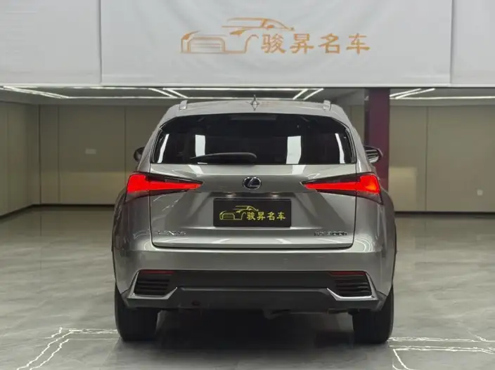 Lexus NX 2020 Model 300h Qian Drive Fengshang Edition China VI – фото 6