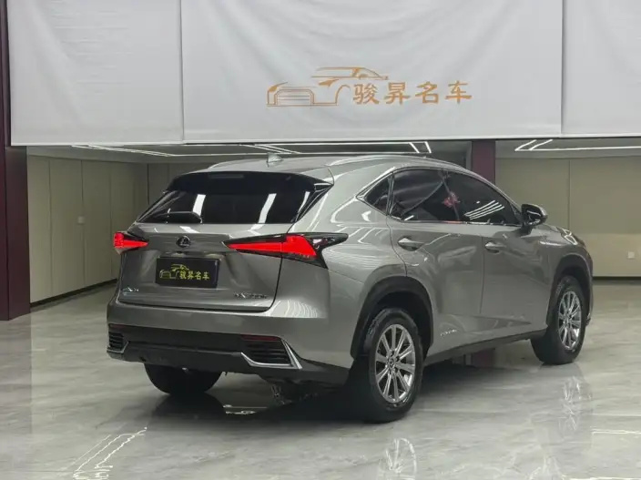 Lexus NX 2020 Model 300h Qian Drive Fengshang Edition China VI – фото 7