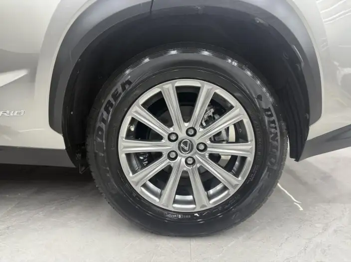 Lexus NX 2020 Model 300h Qian Drive Fengshang Edition China VI – фото 9