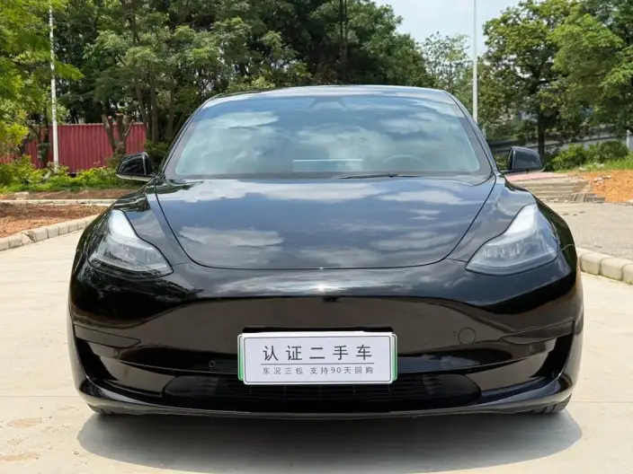 Model 3 2021 Model Standard Battery Life Rear Drive L Class Edition 3D6 – фото 2
