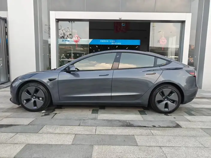 Model 3 2021 Model Standard Battery Life Rear Drive L Class Edition – фото 3