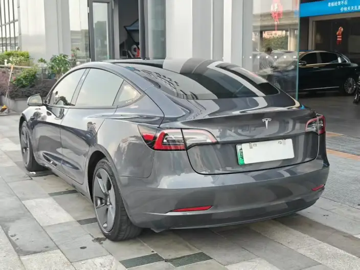 Model 3 2021 Model Standard Battery Life Rear Drive L Class Edition – фото 4