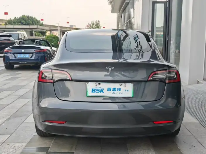 Model 3 2021 Model Standard Battery Life Rear Drive L Class Edition – фото 5