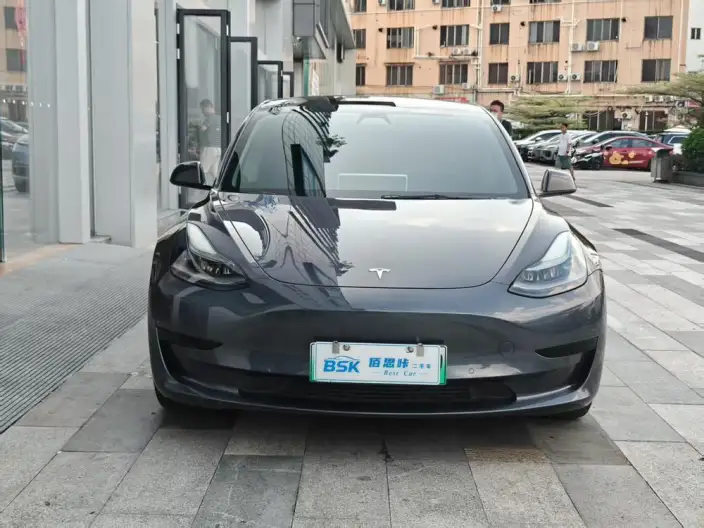 Model 3 2021 Model Standard Battery Life Rear Drive L Class Edition – фото 7