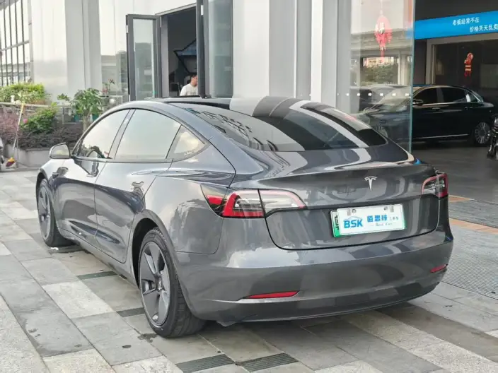 Model 3 2021 Model Standard Battery Life Rear Drive L Class Edition – фото 9