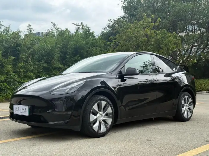 Model Y 2021 Model Standard Battery Life Rear-wheel drive version – фото 1