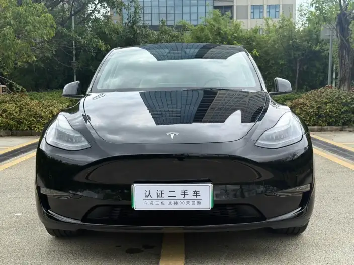 Model Y 2021 Model Standard Battery Life Rear-wheel drive version – фото 2