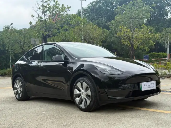 Model Y 2021 Model Standard Battery Life Rear-wheel drive version – фото 3