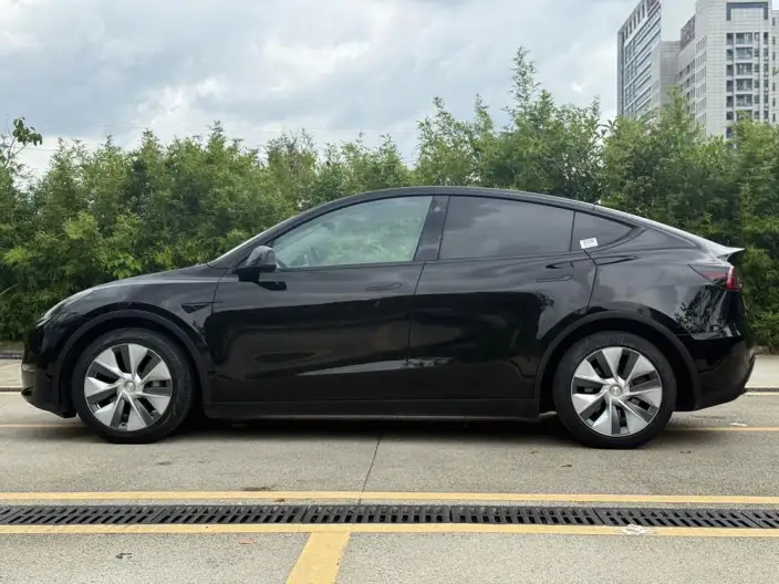 Model Y 2021 Model Standard Battery Life Rear-wheel drive version – фото 4