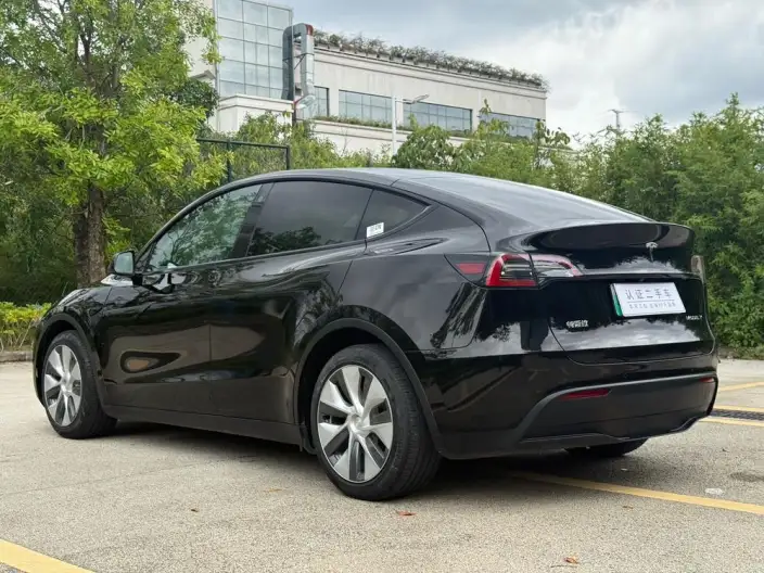 Model Y 2021 Model Standard Battery Life Rear-wheel drive version – фото 5