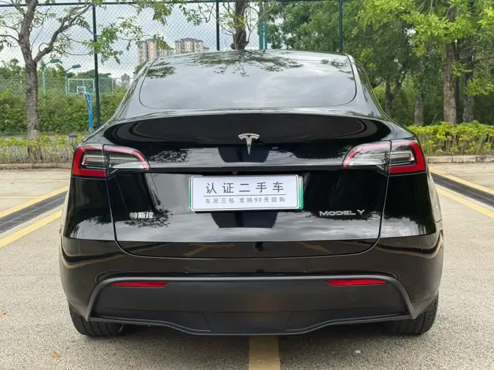 Model Y 2021 Model Standard Battery Life Rear-wheel drive version – фото 6