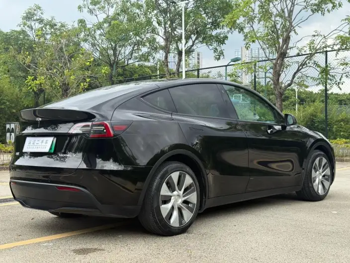 Model Y 2021 Model Standard Battery Life Rear-wheel drive version – фото 7