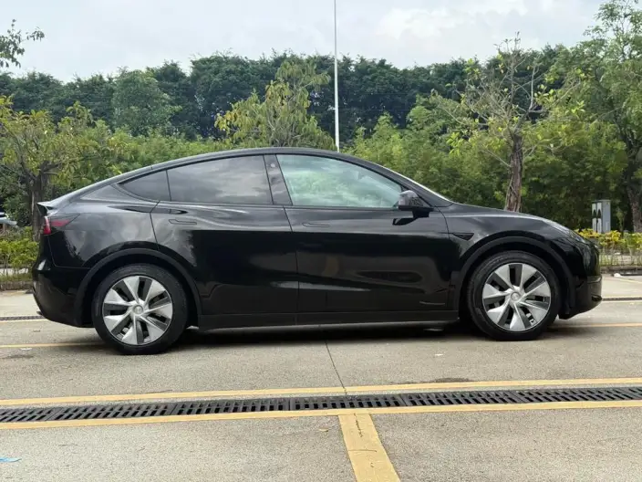 Model Y 2021 Model Standard Battery Life Rear-wheel drive version – фото 8