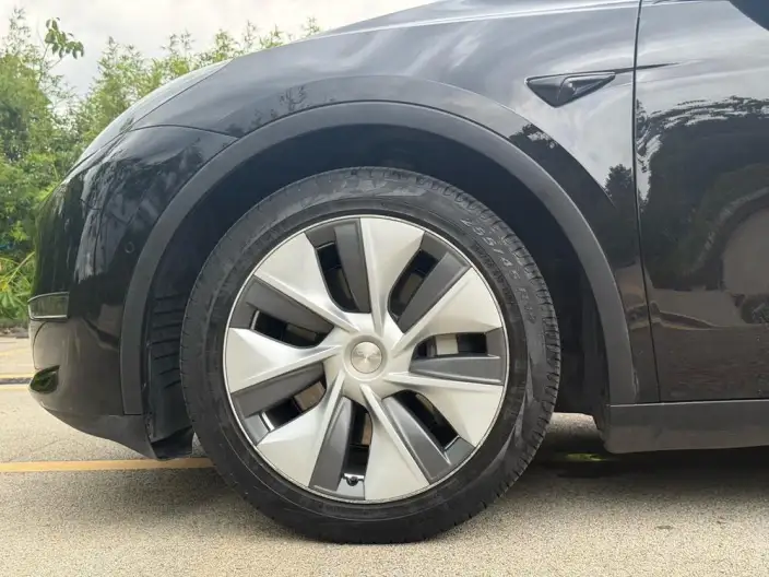 Model Y 2021 Model Standard Battery Life Rear-wheel drive version – фото 11