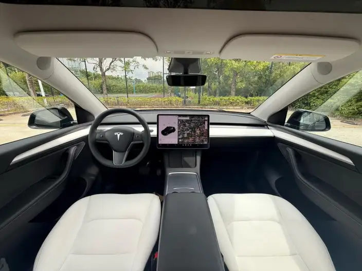 Model Y 2021 Model Standard Battery Life Rear-wheel drive version – фото 12