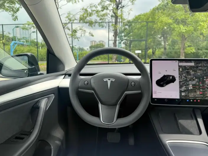 Model Y 2021 Model Standard Battery Life Rear-wheel drive version – фото 13