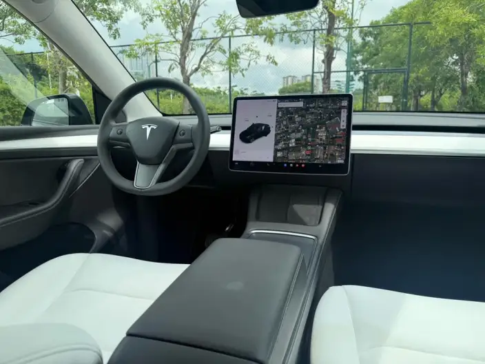 Model Y 2021 Model Standard Battery Life Rear-wheel drive version – фото 14