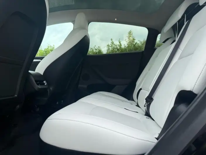 Model Y 2021 Model Standard Battery Life Rear-wheel drive version – фото 16