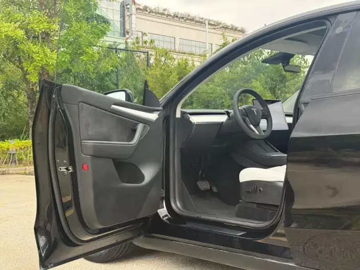 Model Y 2021 Model Standard Battery Life Rear-wheel drive version – фото 17