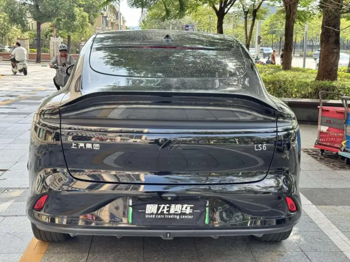 IM LS6 2023 Model Max Standard Edition – фото 4