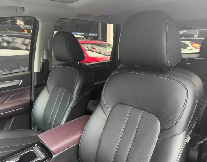 GAC Trumpchi M6 2023 Model PRO 270T WDCT Deluxe Edition – фото 20