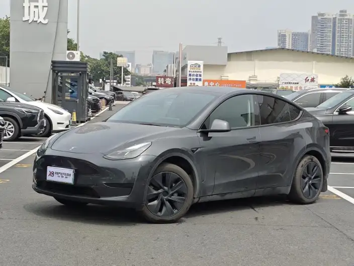 Model Y 2024 Model Rear-wheel drive version – фото 1