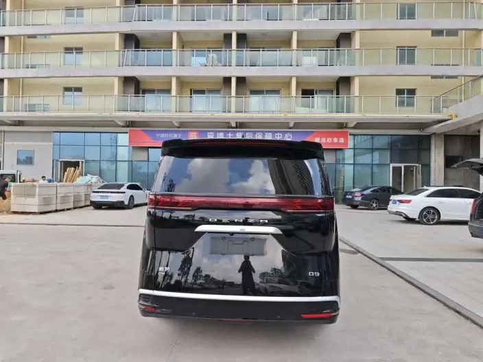 DENZA D9 DM 2022 Model 1040 Noble Model – фото 4