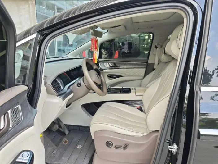 DENZA D9 DM 2022 Model 1040 Noble Model – фото 8