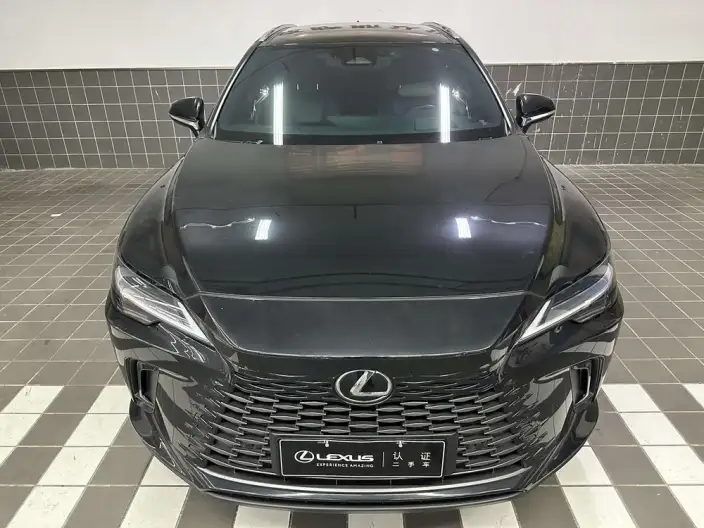 Lexus RX PHEV 2023 Model 450h+ 4WD Changxiang Edition – фото 2