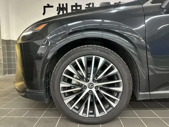 Lexus RX PHEV 2023 Model 450h+ 4WD Changxiang Edition – фото 7
