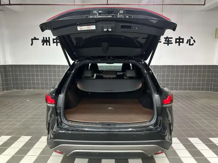 Lexus RX PHEV 2023 Model 450h+ 4WD Changxiang Edition – фото 20