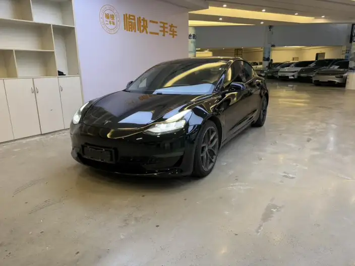 Model 3 2021 Model Performance High performance All-wheel drive version 3D3/3D6 – фото 1
