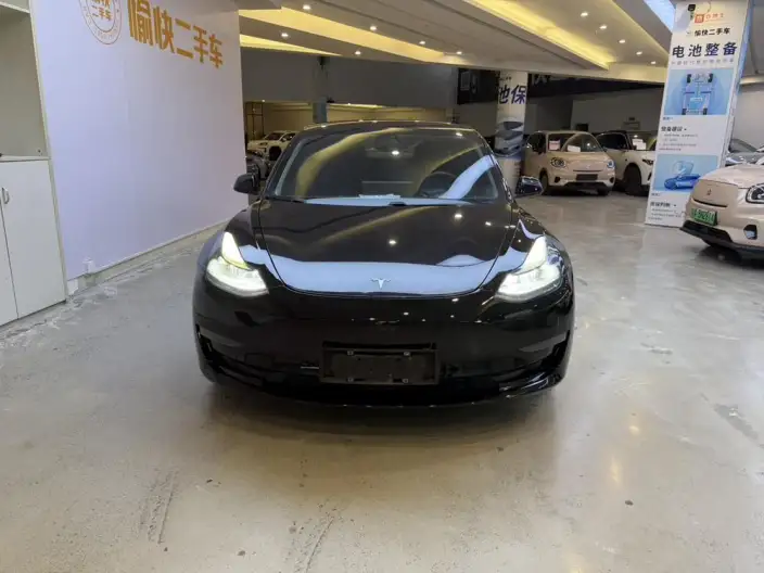 Model 3 2021 Model Performance High performance All-wheel drive version 3D3/3D6 – фото 2