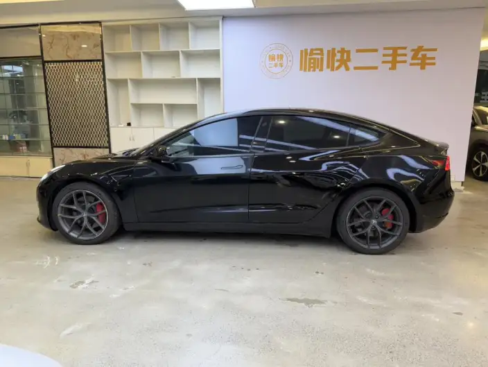 Model 3 2021 Model Performance High performance All-wheel drive version 3D3/3D6 – фото 4