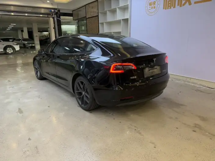 Model 3 2021 Model Performance High performance All-wheel drive version 3D3/3D6 – фото 5