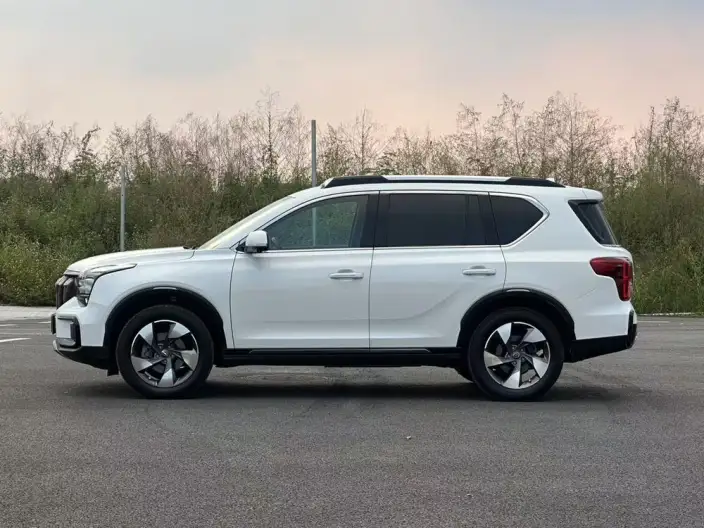 GAC Trumpchi GS8 2020 Model GS8S 390T 2WD Luxury Zhilian Edition – фото 4