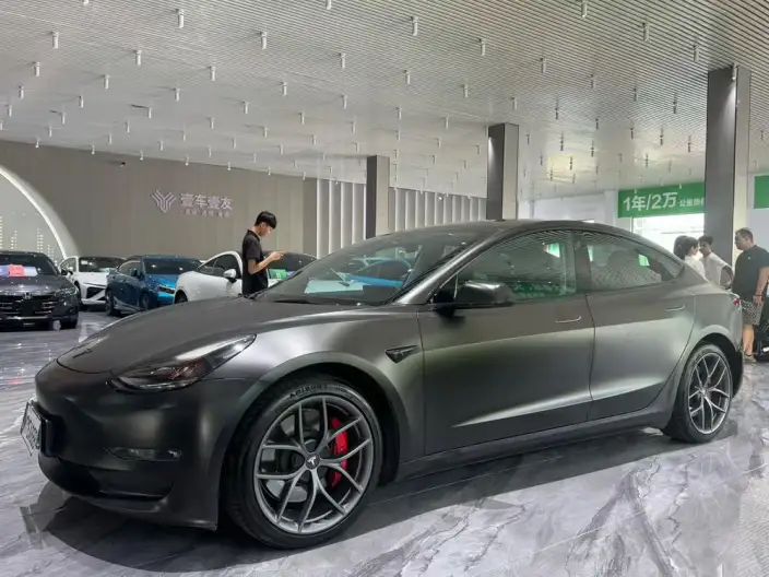 Model 3 2022 Model Performance High performance All-wheel drive version – фото 1