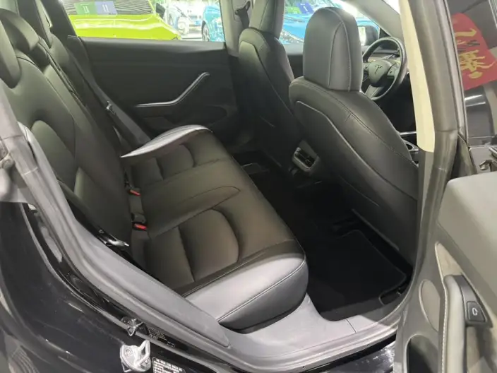 Model 3 2022 Model Performance High performance All-wheel drive version – фото 11