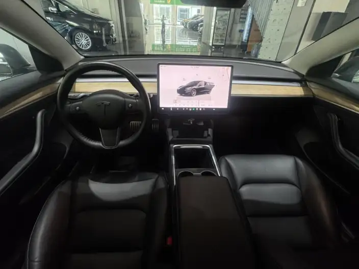 Model 3 2022 Model Performance High performance All-wheel drive version – фото 13