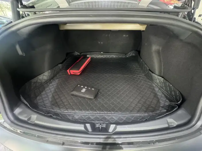 Model 3 2022 Model Performance High performance All-wheel drive version – фото 19