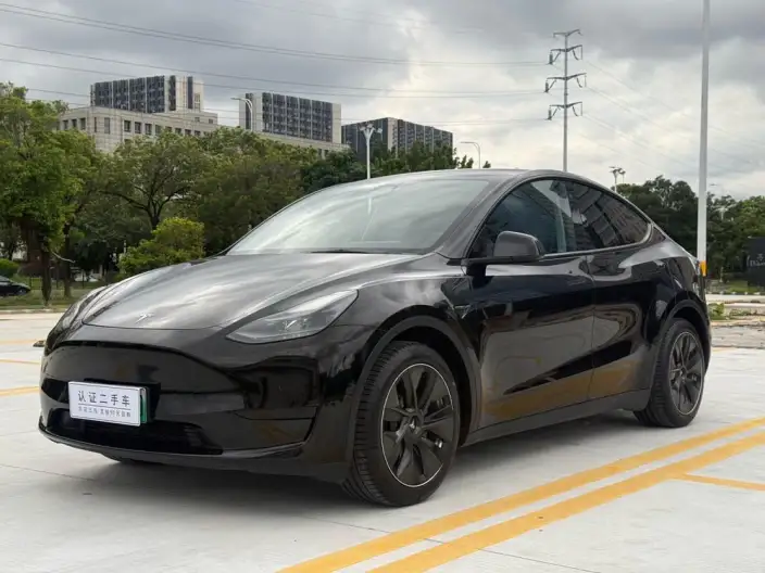 Model Y 2022 Model Rear-wheel drive version – фото 1