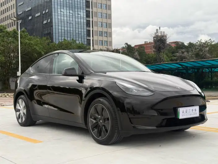 Model Y 2022 Model Rear-wheel drive version – фото 3