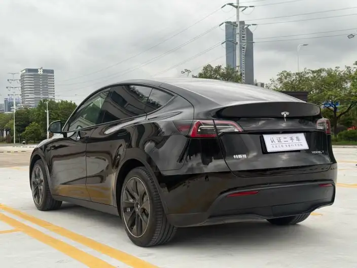 Model Y 2022 Model Rear-wheel drive version – фото 5