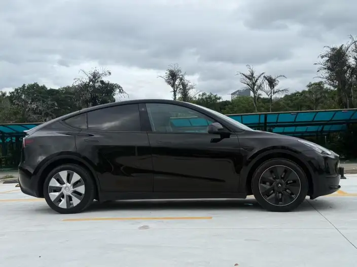 Model Y 2022 Model Rear-wheel drive version – фото 8
