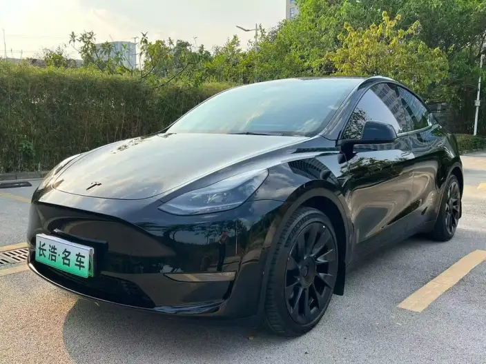 Model Y 2021 Model Standard Battery Life Rear-wheel drive version – фото 1