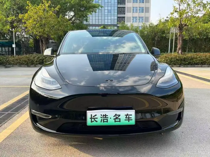 Model Y 2021 Model Standard Battery Life Rear-wheel drive version – фото 2