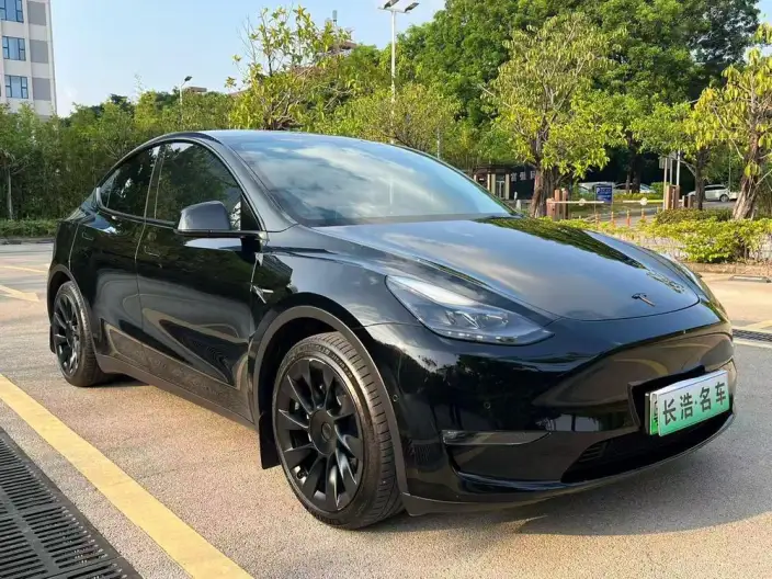 Model Y 2021 Model Standard Battery Life Rear-wheel drive version – фото 3