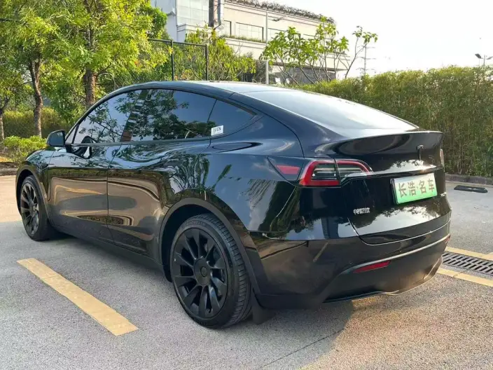 Model Y 2021 Model Standard Battery Life Rear-wheel drive version – фото 4